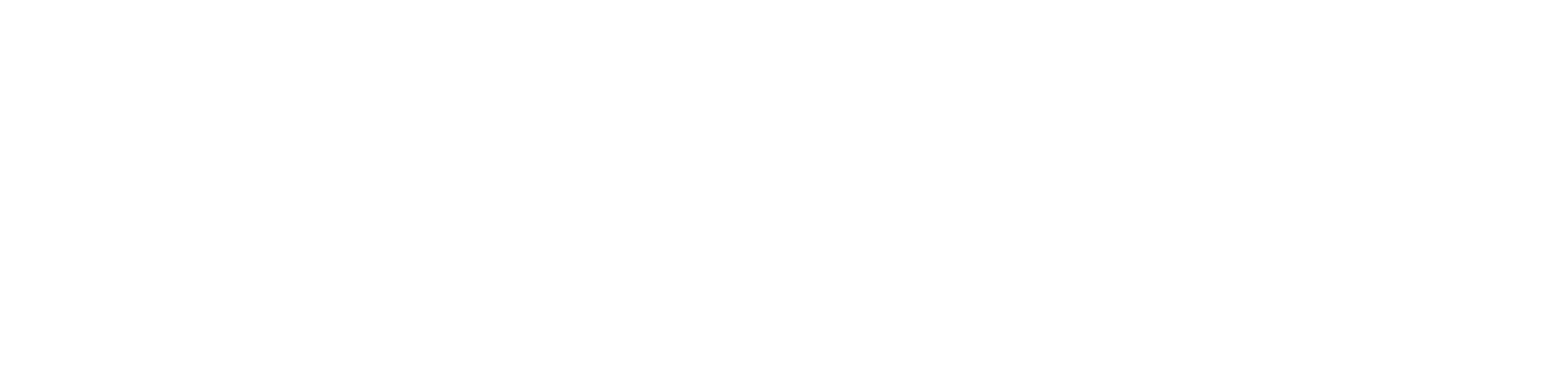 StayAleeve